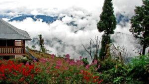 Read more about the article Discovering the Hidden Gems from Siliguri to Lava: Your Ultimate Guide with ShreeCarBooking.com