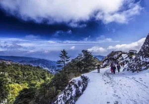 Read more about the article Embarking on the Siliguri to Sandakphu Trek: Your Comprehensive Guide to Permits and Preparation