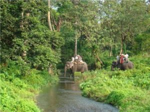 Read more about the article Ultimate Guide to Your Siliguri to Jaldapara Adventure – Exploring the Wild!”